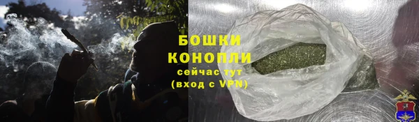 СК Богородск