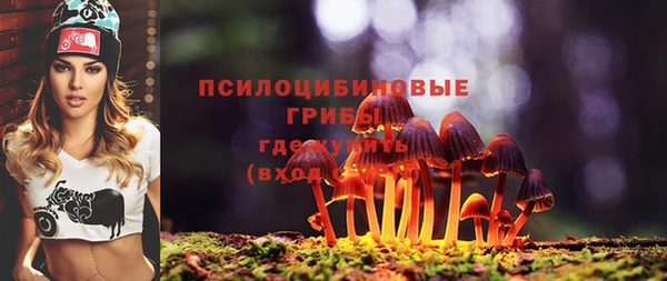 тгк Богородицк