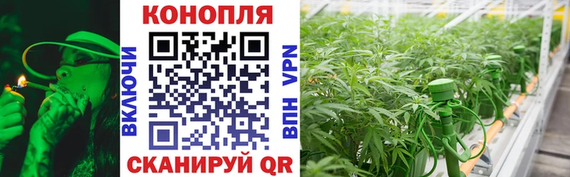 купить   Боровск  Конопля VHQ 